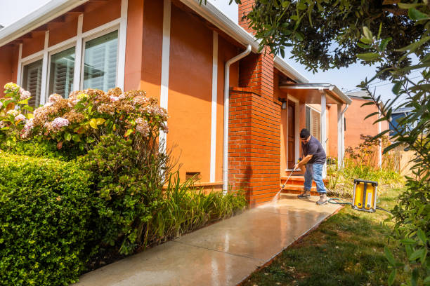 Best Affordable Power Washing  in Janesville, MN