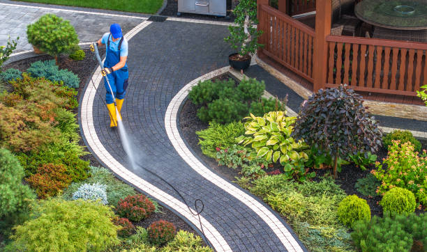 Best Pressure Washing Near Me  in Janesville, MN